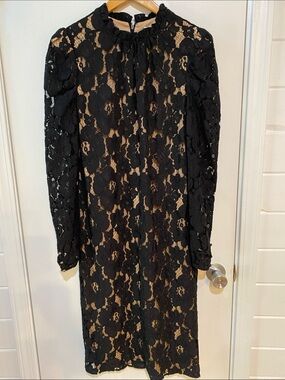 Black Lace Long-Sleeve Sheath Dress with Nude Underlay